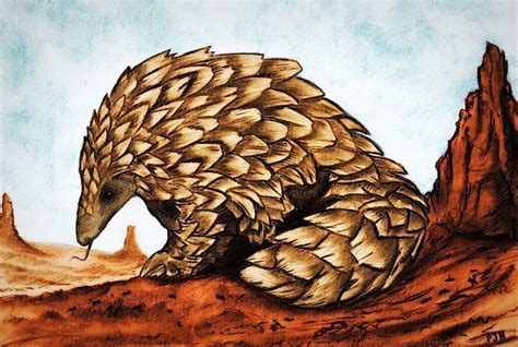  Pangolin - Den mystiske skaldjuren som älskar att sola sig i myrkret!